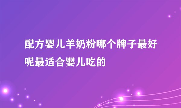 配方婴儿羊奶粉哪个牌子最好呢最适合婴儿吃的