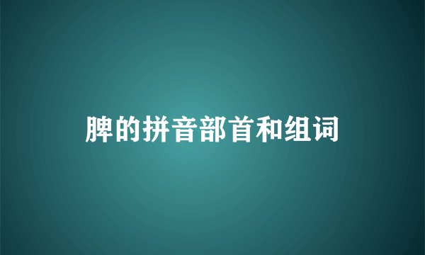 脾的拼音部首和组词