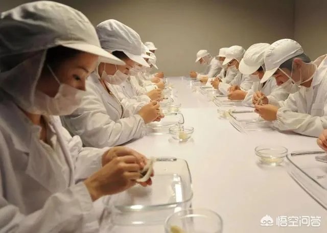 什么牌子的燕窝比较好?值得推荐的燕窝品牌有哪些?