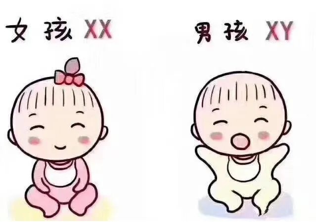 试管移植成功的十个征兆-试管移植成功的症状