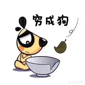 月薪6000在上海是什么水平?