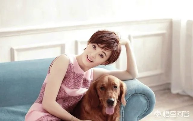 娱乐圈有哪些零绯闻的女演员,你最喜欢谁?
