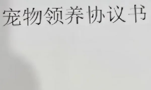 北京一对夫妻吵架却把狗子推下4楼,为何有人对宠物生命如此漠视?