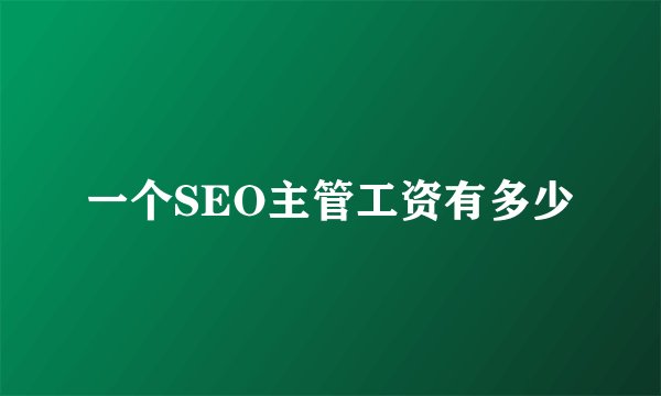 一个SEO主管工资有多少