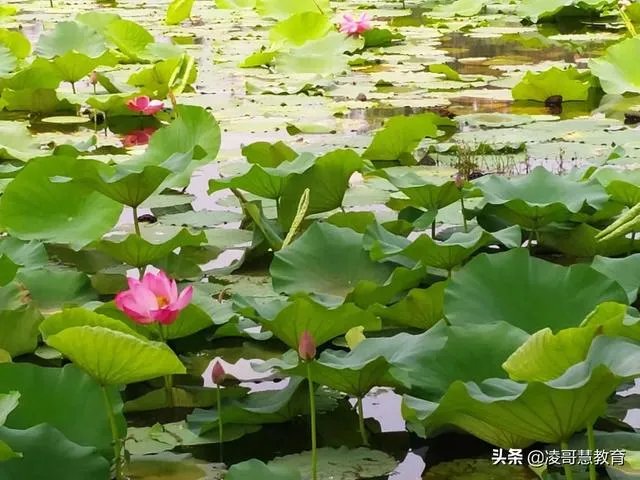 如果当教师取消了寒暑假,还有人愿意当老师吗?