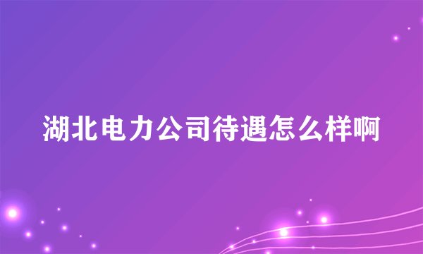 湖北电力公司待遇怎么样啊