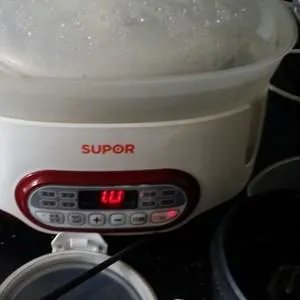 介绍几种木瓜炖汤的做法,家常点的