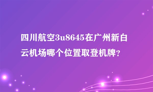 四川航空3u8645在广州新白云机场哪个位置取登机牌？