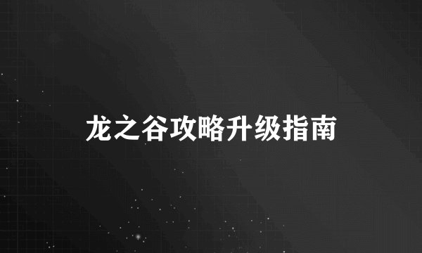 龙之谷攻略升级指南