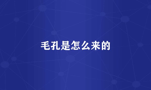 毛孔是怎么来的