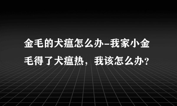 金毛的犬瘟怎么办-我家小金毛得了犬瘟热,我该怎么办?
