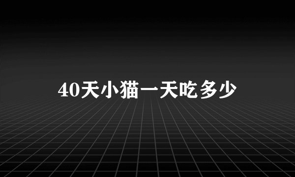 40天小猫一天吃多少