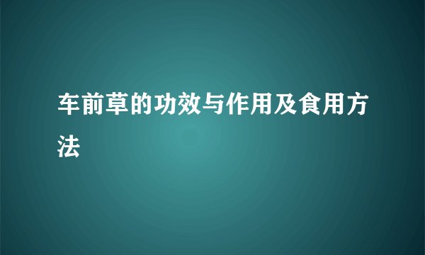 车前草的功效与作用及食用方法