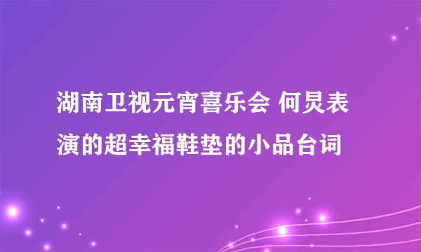 湖南卫视元宵喜乐会 何炅表演的超幸福鞋垫的小品台词
