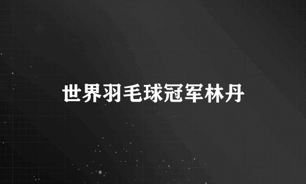 世界羽毛球冠军林丹