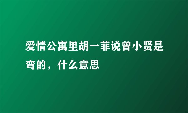 爱情公寓里胡一菲说曾小贤是弯的，什么意思