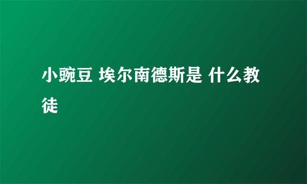 小豌豆 埃尔南德斯是 什么教徒