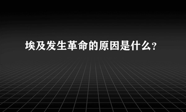 埃及发生革命的原因是什么？