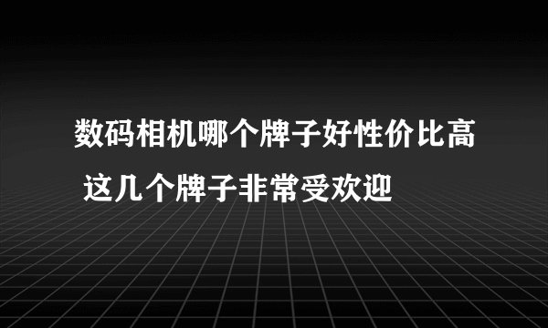 数码相机哪个牌子好性价比高 这几个牌子非常受欢迎
