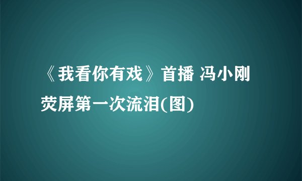 《我看你有戏》首播 冯小刚荧屏第一次流泪(图)