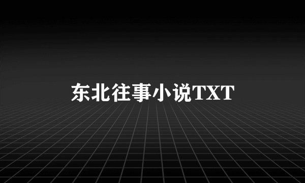 东北往事小说TXT