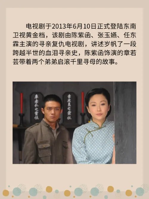 张玉嬿主演过的电视剧？