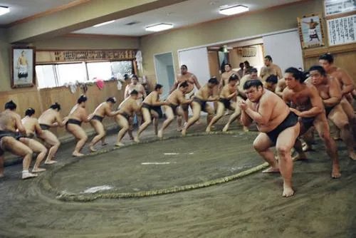 相扑是一项什么运动?