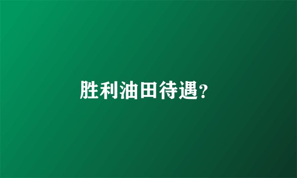 胜利油田待遇？