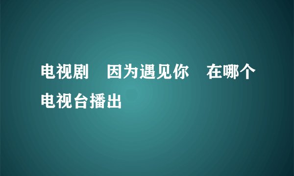 电视剧«因为遇见你»在哪个电视台播出
