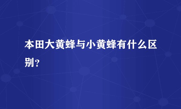 本田大黄蜂与小黄蜂有什么区别？