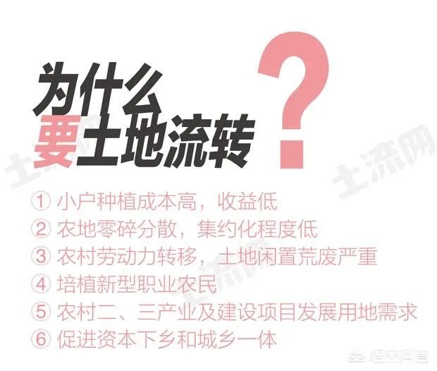 农村耕地出租多少钱一亩?直补归谁?
