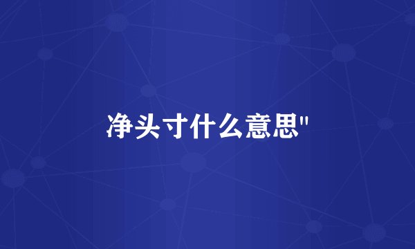 净头寸什么意思