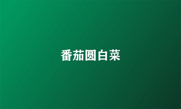番茄圆白菜