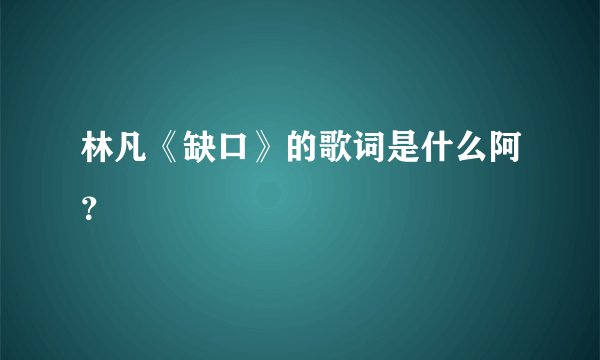 林凡《缺口》的歌词是什么阿？
