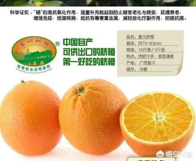 过年各地有什么特色美食?