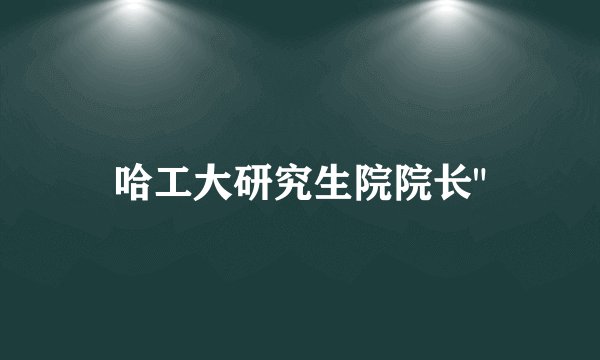 哈工大研究生院院长