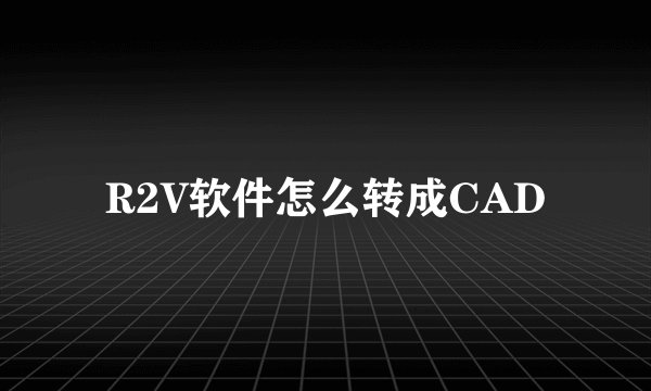 R2V软件怎么转成CAD