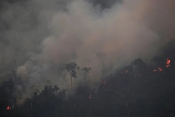 亚马逊的大火依旧燃烧，雨林大火跟我们中国人到底有没有关系？
