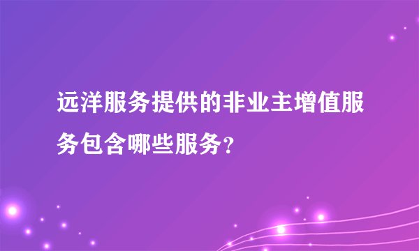 远洋服务提供的非业主增值服务包含哪些服务？