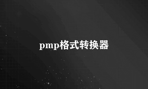 pmp格式转换器