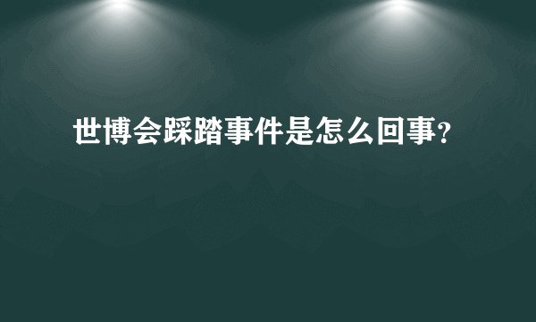 世博会踩踏事件是怎么回事？