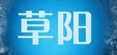 刷步器十大品牌排行榜