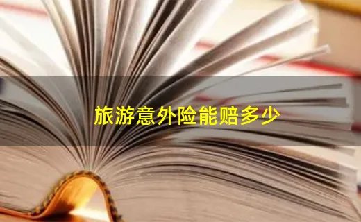 旅游意外险能赔多少