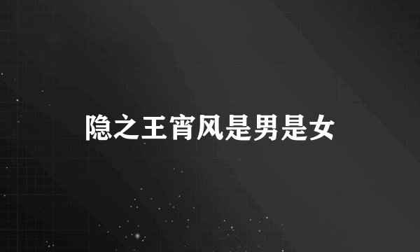 隐之王宵风是男是女