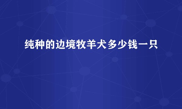 纯种的边境牧羊犬多少钱一只