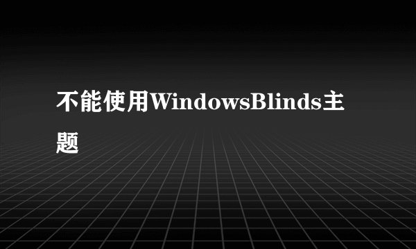 不能使用WindowsBlinds主题