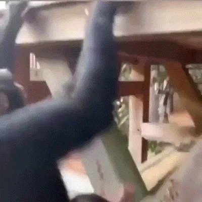 周四福利囧图云飞系列 一滴都没了求你让我放一天假