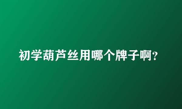 初学葫芦丝用哪个牌子啊？