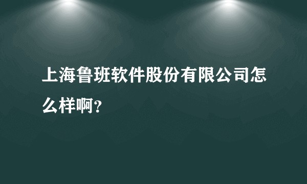 上海鲁班软件股份有限公司怎么样啊？