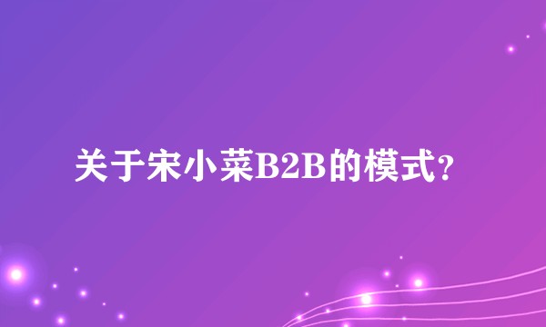 关于宋小菜B2B的模式?